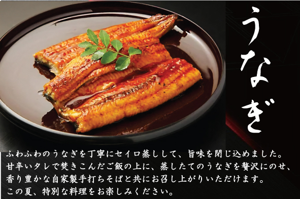 うなぎせいろ蒸しと自家製八割そば